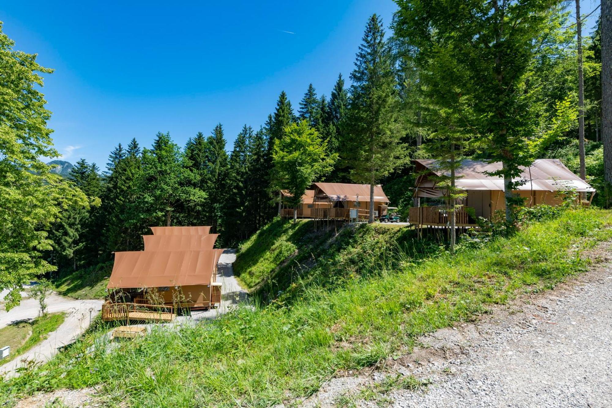 Ferienpark Terrassencamping Sued-See Walchsee Rum bild